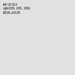 #E1E1E2 - Bon Jour Color Image
